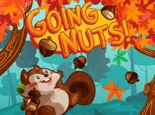 Going Nuts Game